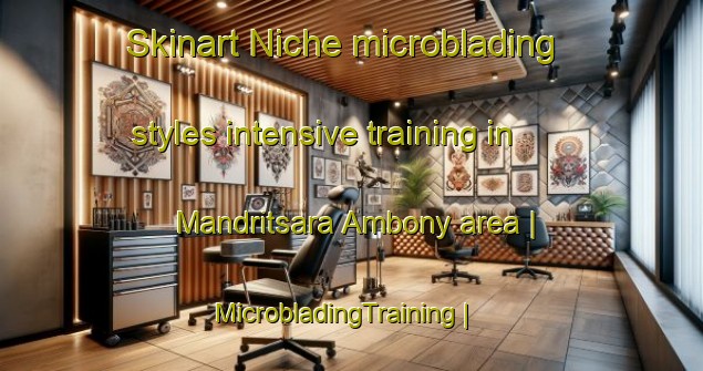 Skinart Niche microblading styles intensive training in Mandritsara Ambony area | MicrobladingTraining | MicrobladingClasses | SkinartTraining-Madagascar